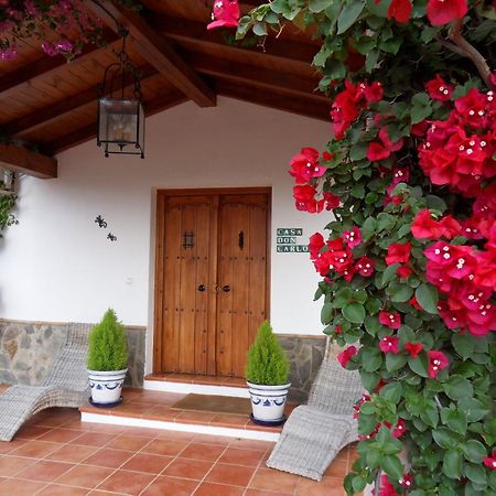 Bed & Breakfast | Guest House Casa Don Carlos Alhaurín el Grande Exteriér fotografie