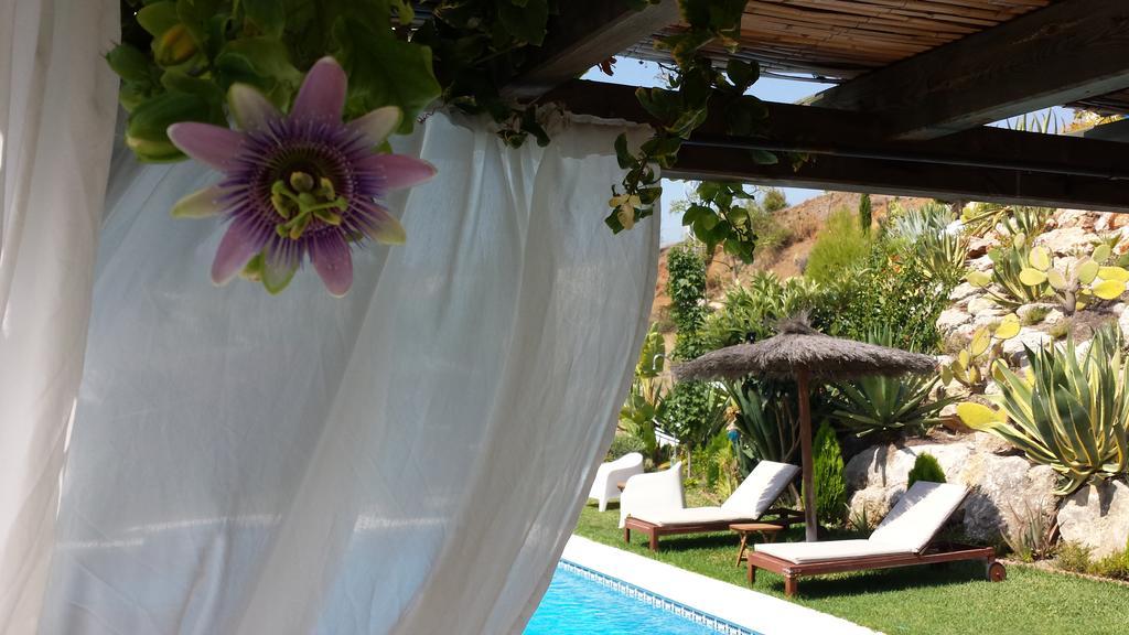 Bed & Breakfast | Guest House Casa Don Carlos Alhaurín el Grande Exteriér fotografie