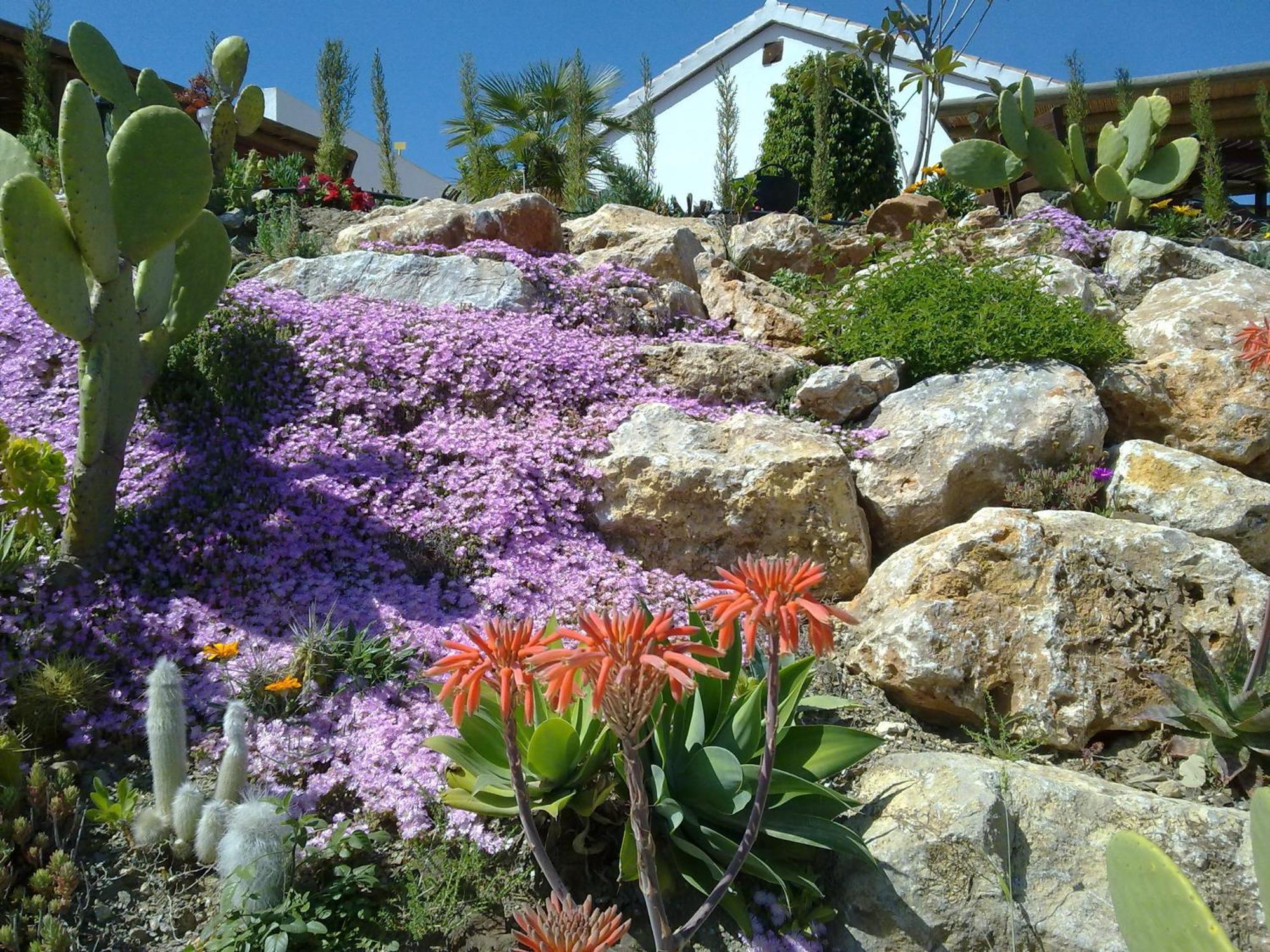 Bed & Breakfast | Guest House Casa Don Carlos Alhaurín el Grande Exteriér fotografie