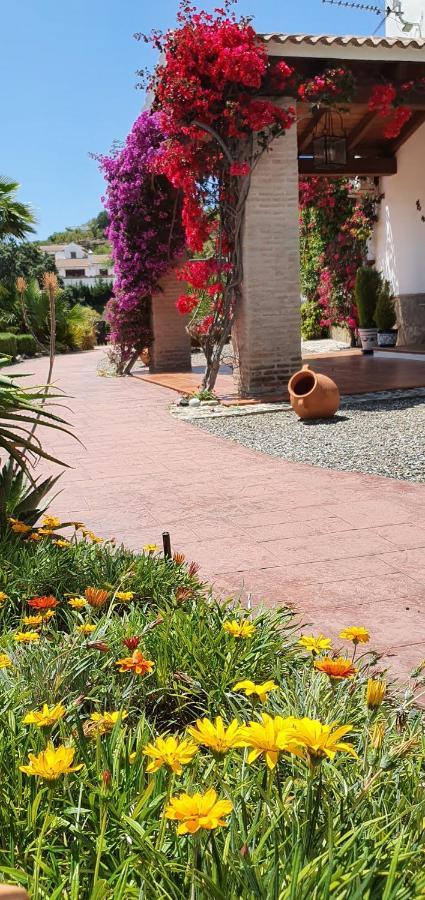 Bed & Breakfast | Guest House Casa Don Carlos Alhaurín el Grande Exteriér fotografie